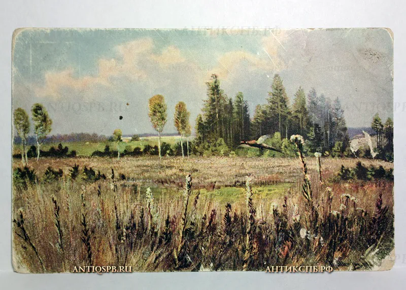 Открытка старинная "Поле". №422